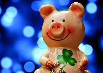 A smiling pig holding a four-leaf clover.