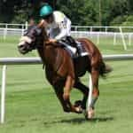 A jockey racing a horse around a track.