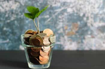 A plant growing in a glass of coins.